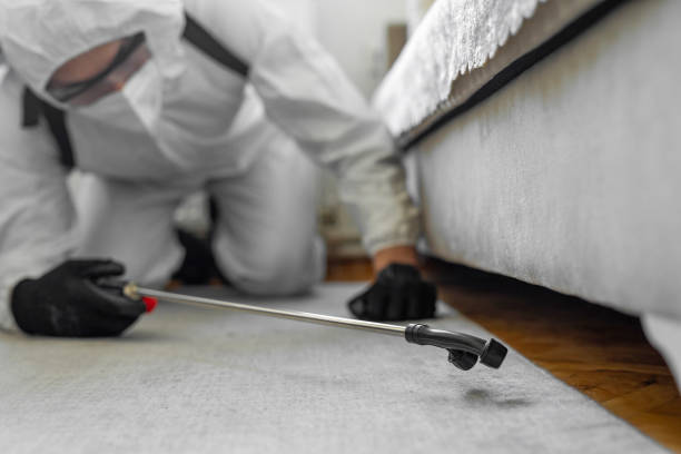 Professional Cockroach Control technician working in Gladwin, MI