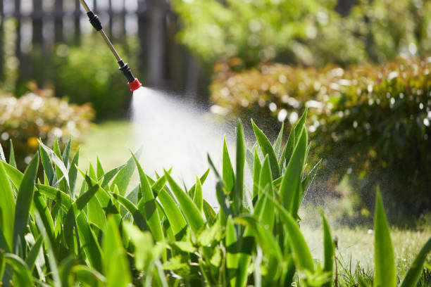 24/7 Emergency Cockroach Control experts in Gladwin, MI