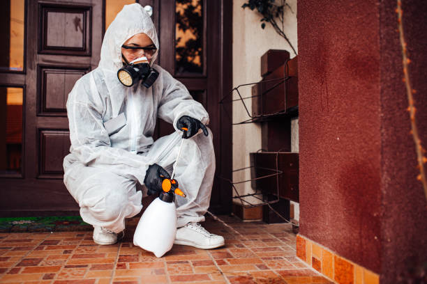 Reliable Cockroach Control contractor in Gladwin, MI by Nex Pest Control