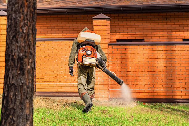 Top rated local Cockroach Control specialists in Gladwin, MI